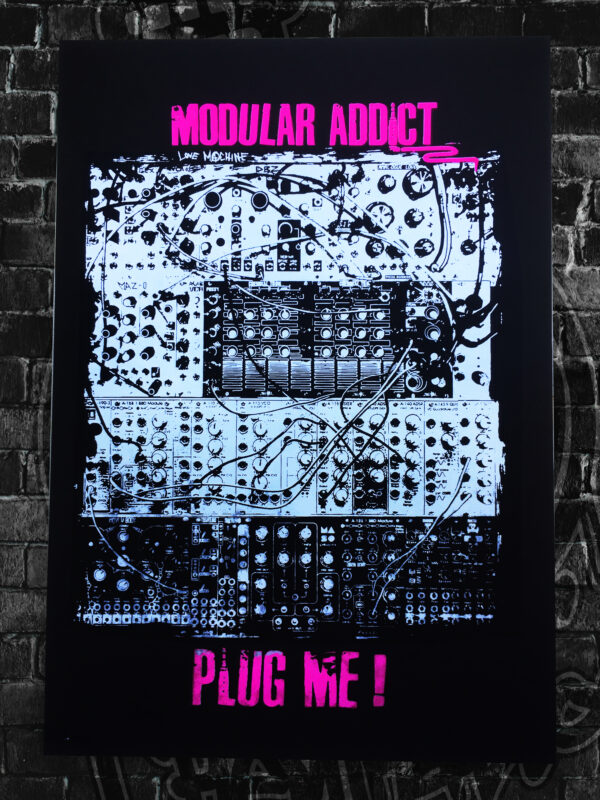 Affiche Serigraphiée Modular Addict