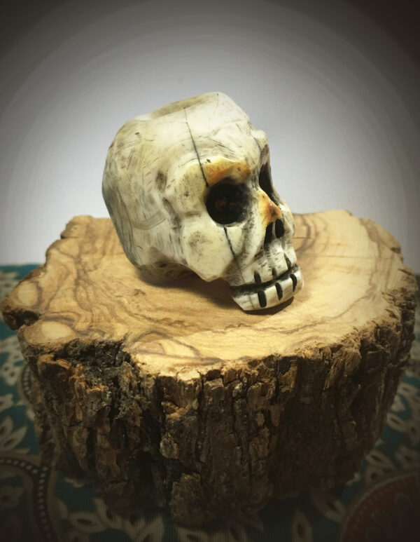 OS-Skull