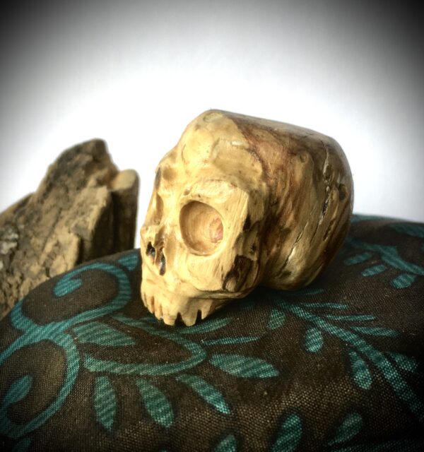 SKULLY – Image 2