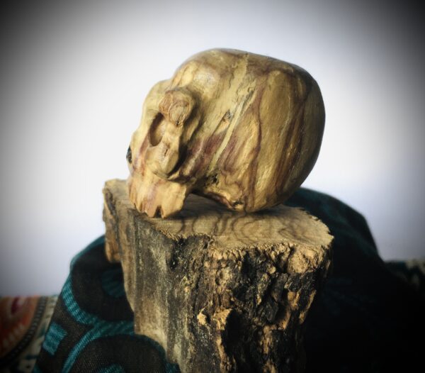 SKULLY 2 – Image 2